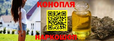 прущие грибы Лесосибирск