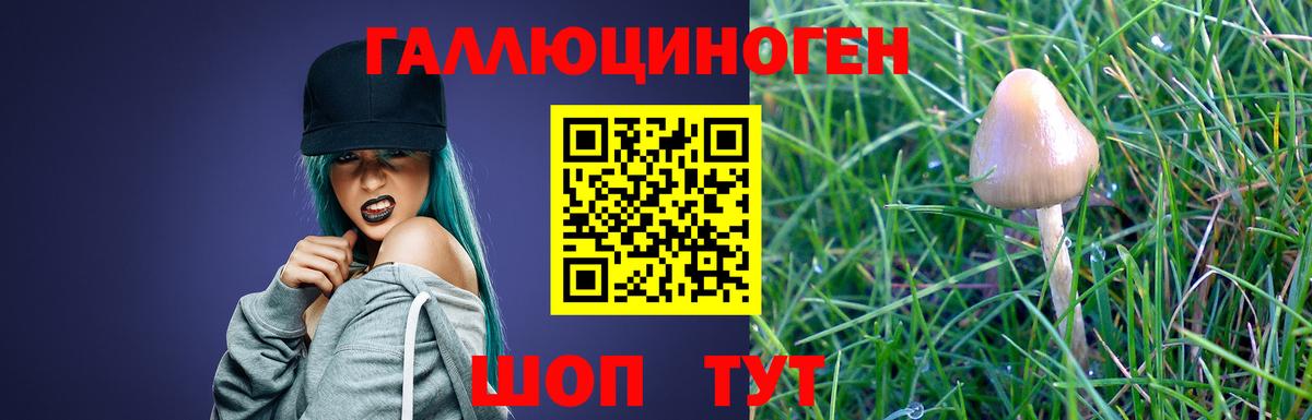Галлюциногенные грибы MAGIC MUSHROOMS  Вход с VPN  Псилоцибиновые грибы MAGIC MUSHROOMS  купить закладку  Каменск-Шахтинский 